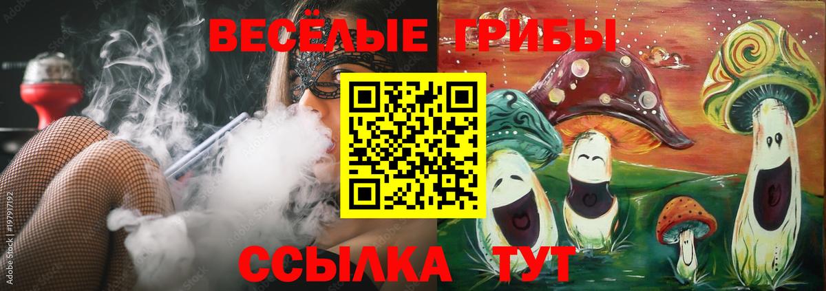 Волжский  Галлюциногенные грибы прущие грибы  хочу   Вход с VPN  Галлюциногенные грибы Psilocybine cubensis 