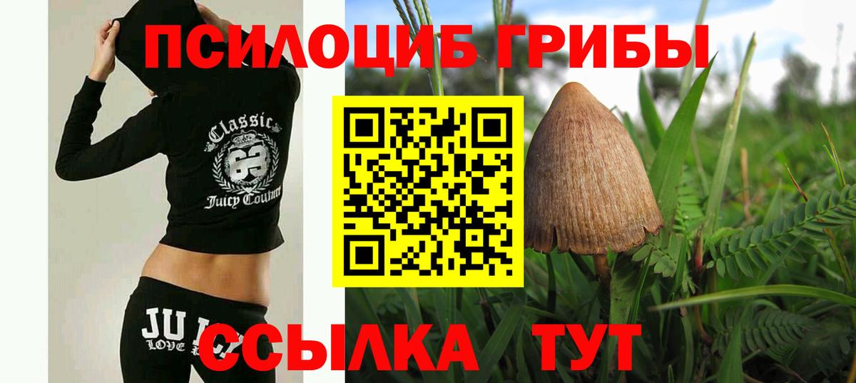 Галлюциногенные грибы Magic Shrooms Волжский