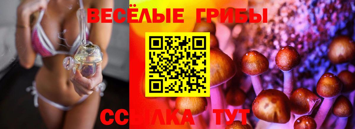 сколько стоит  Галлюциногенные грибы MAGIC MUSHROOMS  Волжский  Псилоцибиновые грибы MAGIC MUSHROOMS 